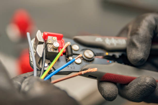 Best Local Electrician Companies  in Bayou Lourse, LA