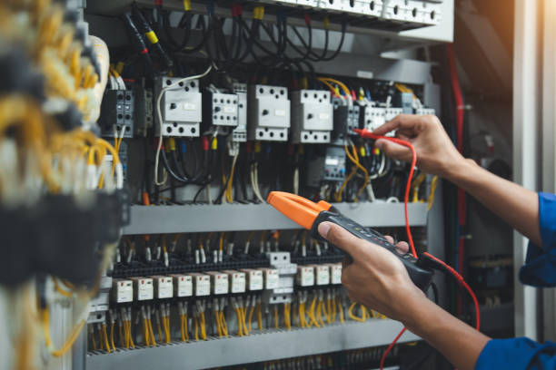 Best Electric Panel Repair  in Bayou Lourse, LA
