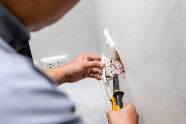 Best Home Electrical Repair  in Bayou Lourse, LA