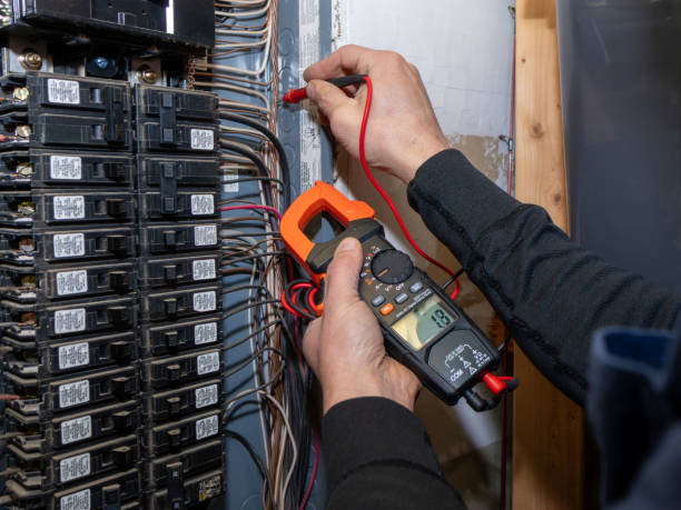 Best Electrical Troubleshooting Services  in Bayou Lourse, LA